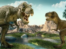 Kronika Vesmíru (30) – Trias, Pangea a nástup dinosaurů