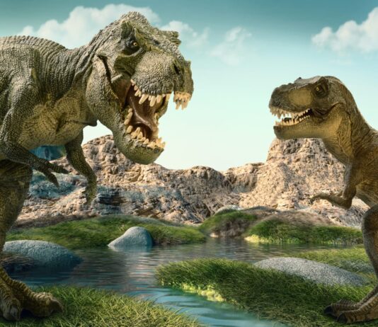 Kronika Vesmíru (30) – Trias, Pangea a nástup dinosaurů
