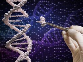 Genetické inženýrství: nůžky na DNA máme, co přijde dál?