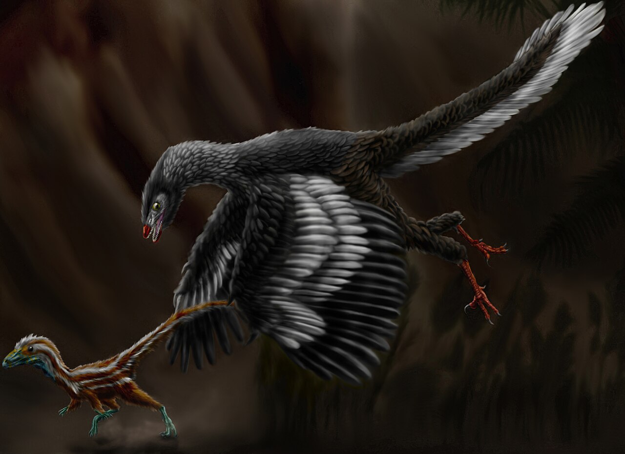 Rekonstrukce archeopteryxe