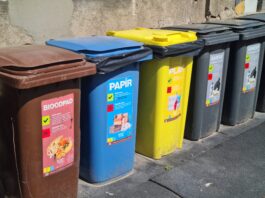 Třídění odpadu – co má smysl a co ne?